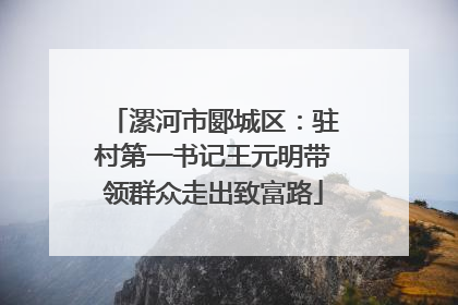 漯河市郾城区：驻村第一书记王元明带领群众走出致富路